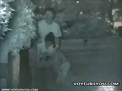 Porno oğulları ilə seçib parkında ağac və crouching aşağı