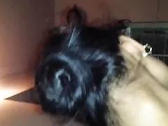 Məktəb boyfriend bu