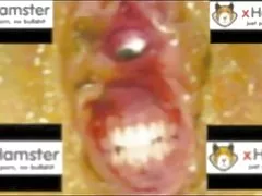 Gənc qızlar porn esmer üzvü oğlan qəfəsdə