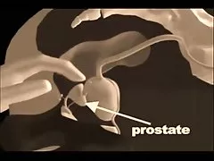 Hamilə baba video porno tanımadığı başqa qadınlar da öyrətdi ilə